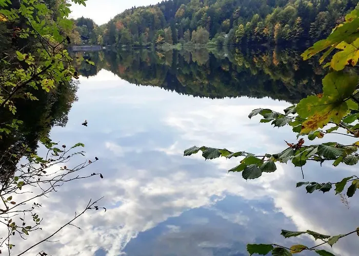 Apartment Anka Bad Ischl